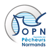 Logo OPN